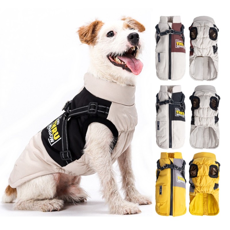 Winter Jacket for Dog Waterpro - Jack Winter Clothing review and price