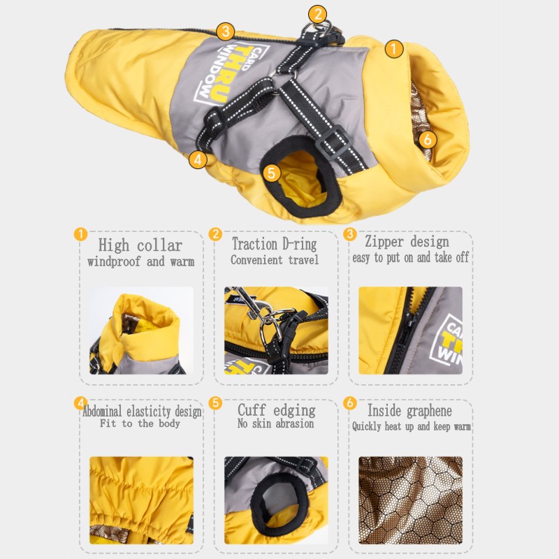 Winter Jacket for Dog Waterpro - Jack Winter Clothing review and price