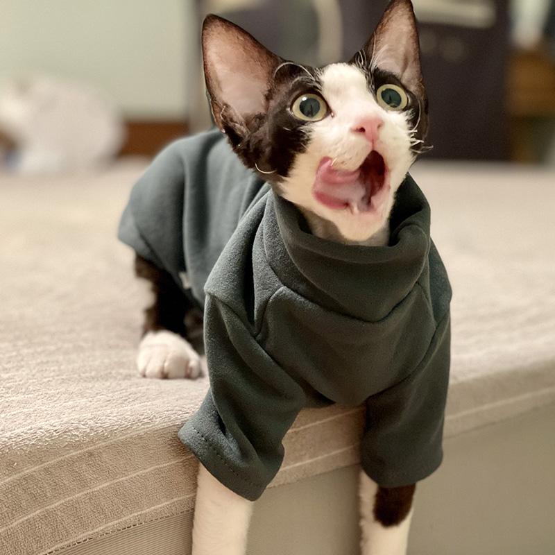 Sphynx Cat Clothes Baby Soft C - Winter Clothing For Toddlers review and price